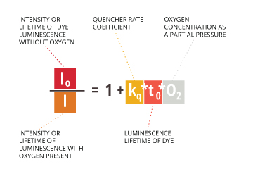 光学溶解氧参数方程