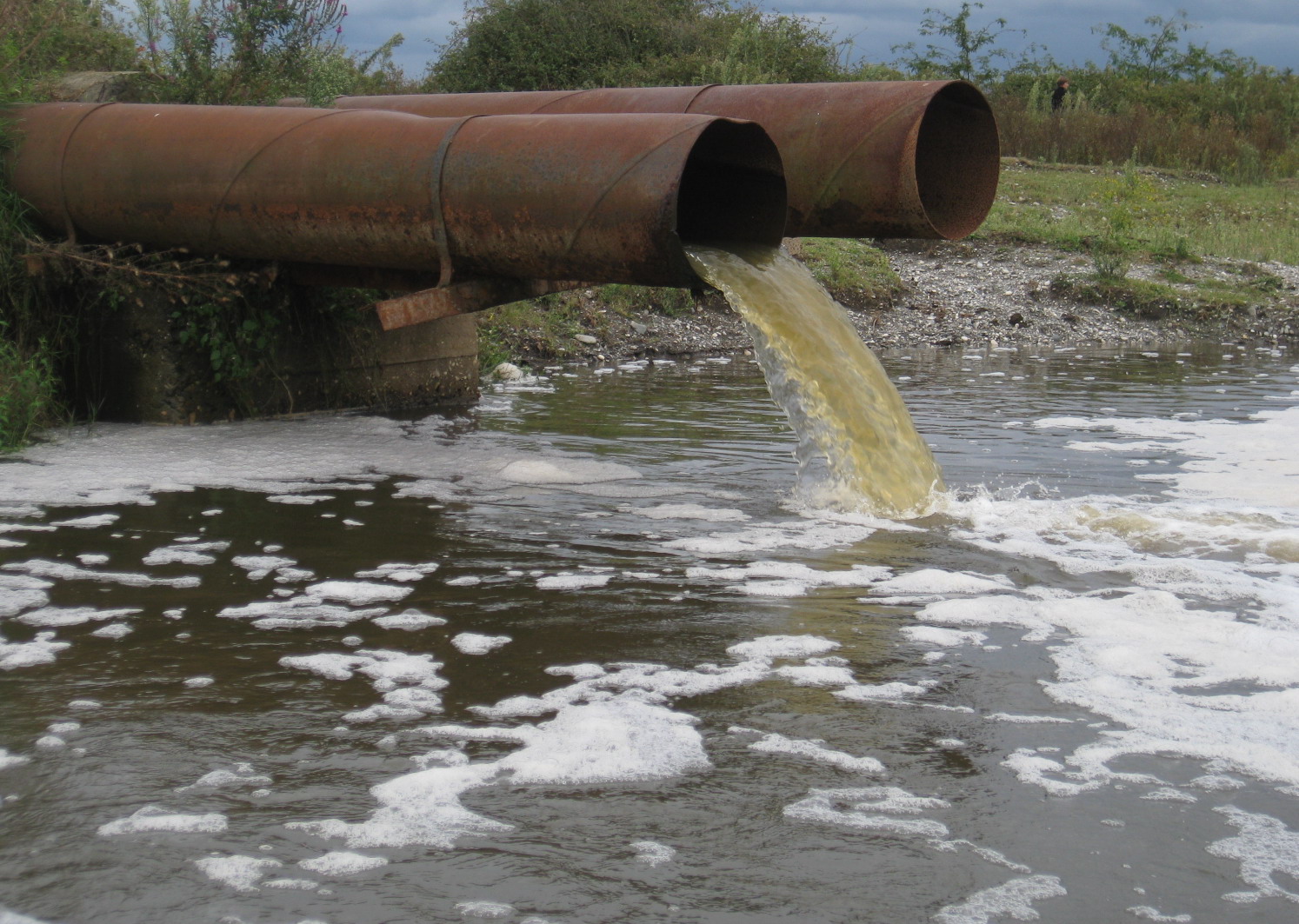 Ammonia Nitrogen Excessive Water Quality Ammonia Nitrogen Excessive Water Quality