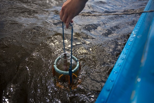 Collect total nitrogen water samples required for testing Collect total nitrogen water samples required for testing
