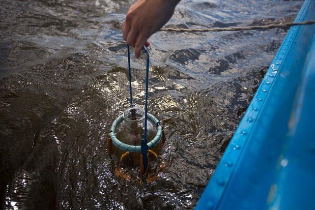 Collect total nitrogen water samples required for testing