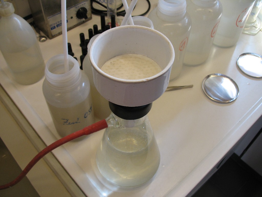 Filtration of treated water samples Filtration of treated water samples