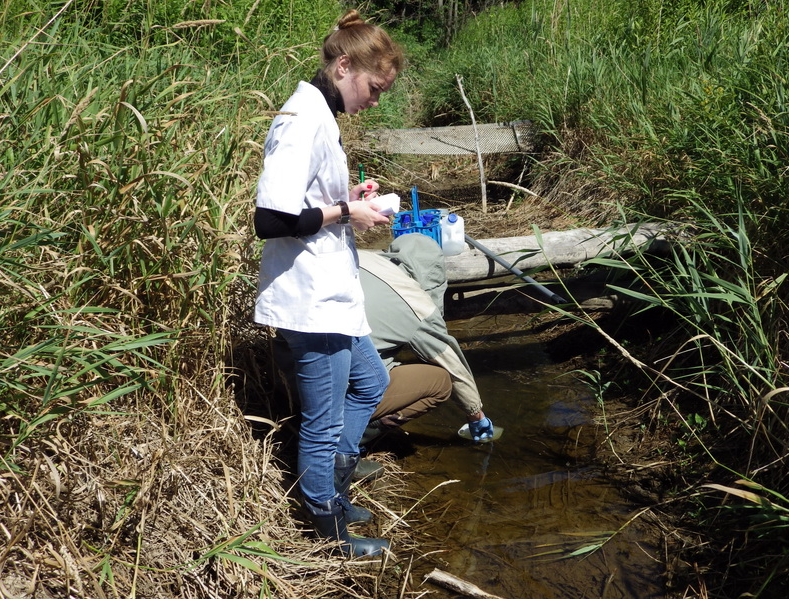 Collecting water samples for nitrosamine testing