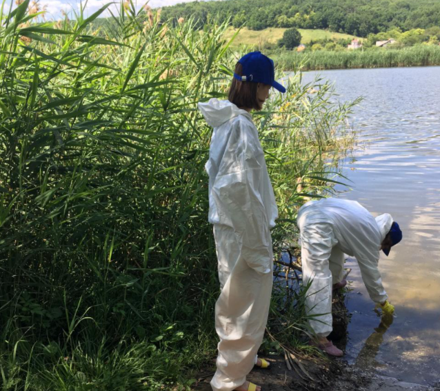 Sulfide water sample collection