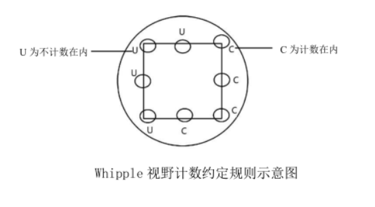 Schematic diagram of visual field counting convention rules