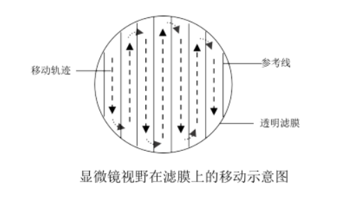 Schematic diagram of the movement of the microscope field of view on the filter membrane