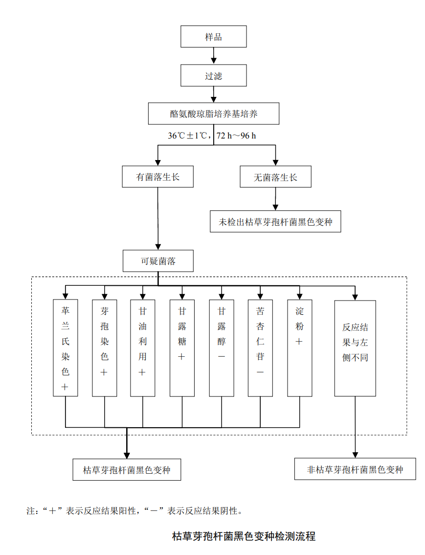 Bacillus subtilis black variant detection process Bacillus subtilis black variant detection process
